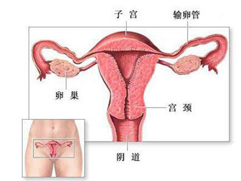360度全方位目击女人避孕过程