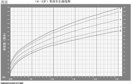 学会看宝宝生长发育曲线图