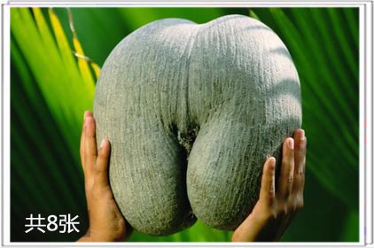 两性
