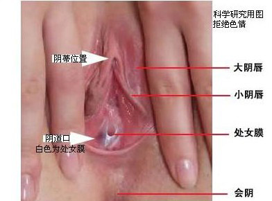 两性