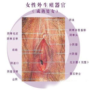 两性
