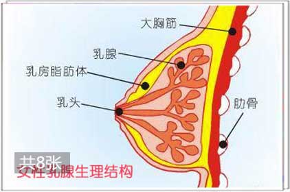 两性