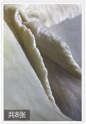 两性