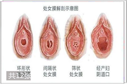 女性私处经历高潮时的系列变化
