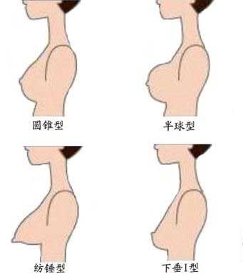 两性