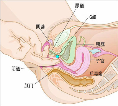 妹子：阴蒂高潮阴道高潮真实感受