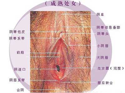 两性