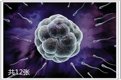 性成熟男人床上“操练”新知(套图)