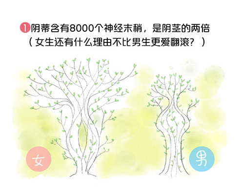 套图：阴道有多长，能容纳多大丁丁