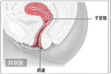 两性