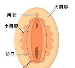 两性