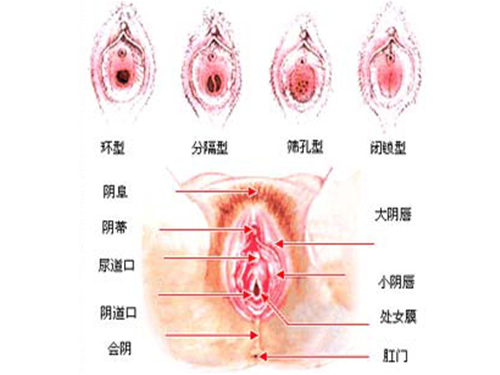 两性