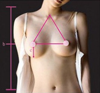 两性