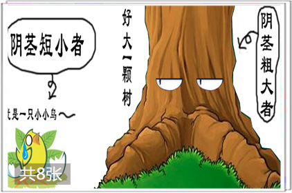 两性
