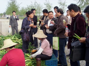 培训学员在海润天晟示范园参观收获大