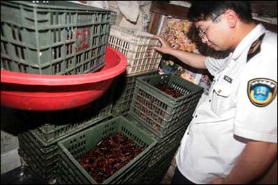 小龙虾饭店卫生堪忧 洗虾刷地用共同一拖把