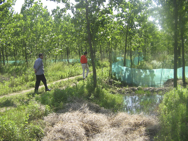龙虾养殖基地耗资数十万 龙虾养殖市场渐入佳境