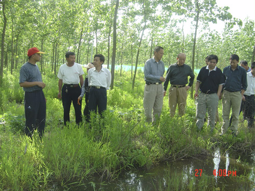 龙虾养殖基地耗资数十万 龙虾养殖市场渐入佳境
