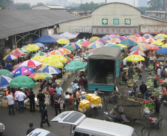 5月9日南京惠民桥市场龙虾行情分析