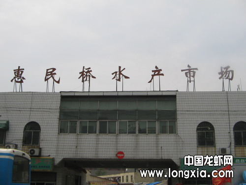 龙虾价格波动大 批发商戏称如“股市”