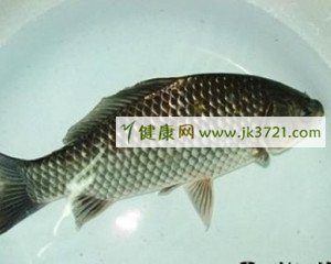 猪皮、鱼皮美味养颜又抗衰老