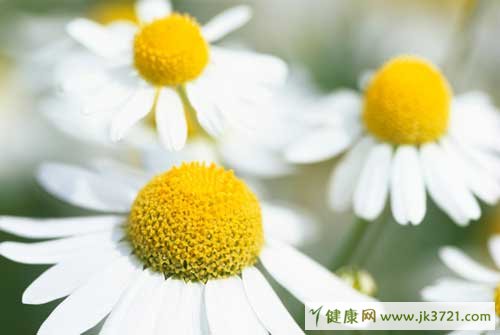 能缓解腹痛和胃痛的食疗方法