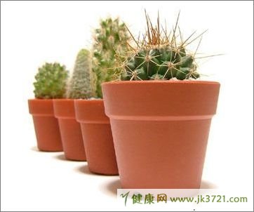防止电脑辐射的生活小常识