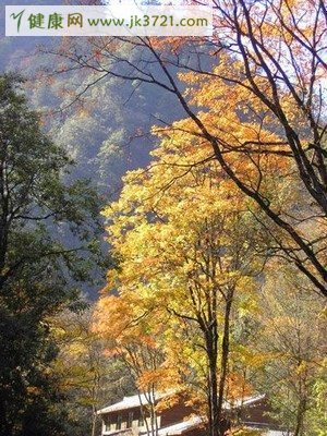 霜降节气征候