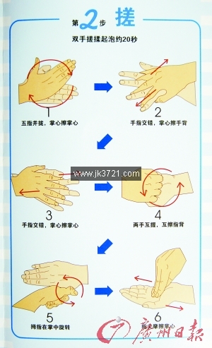 世卫组织推出预防甲型流感六步洗手法(图)