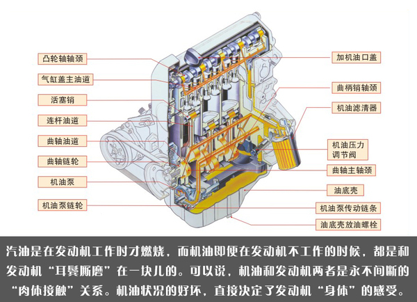 七夕选对“油”这两个误区不能有