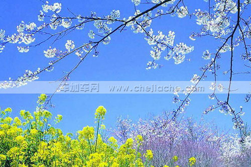 春季保养.jpg