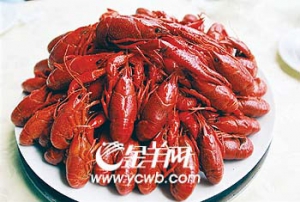 正牌盱眙龙虾驾到 (图)